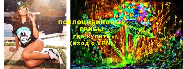 гашик Верхний Тагил