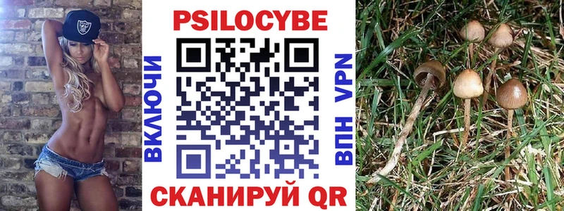 Псилоцибиновые грибы MAGIC MUSHROOMS Волосово